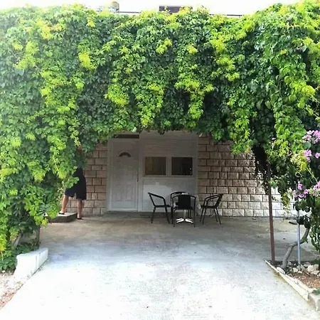 Ruzmarin - Seget Donji, *